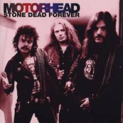 Motörhead : Stone Dead Forever